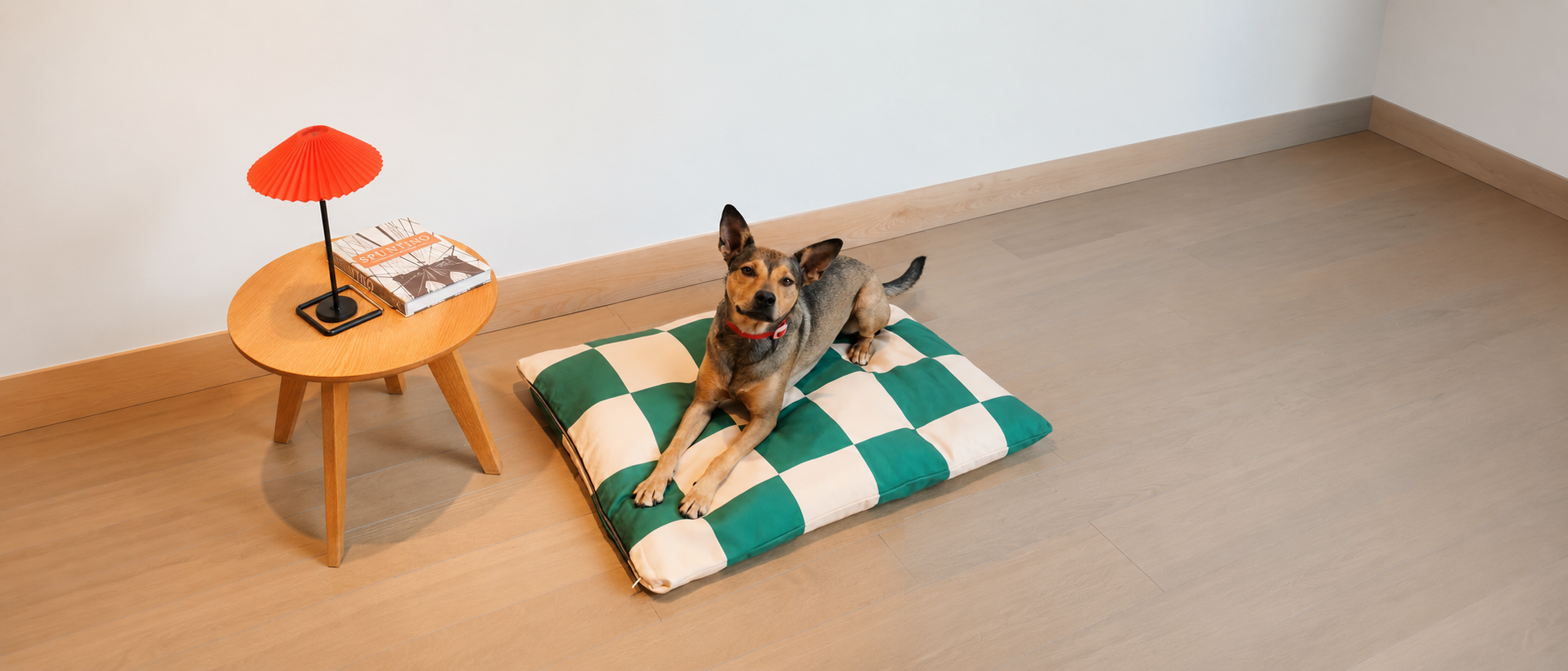 Cozy pet living