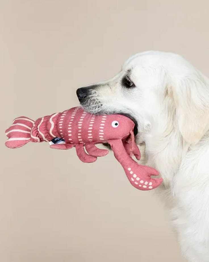 Dog plush toy