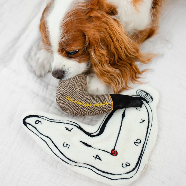 Dog comfort toy