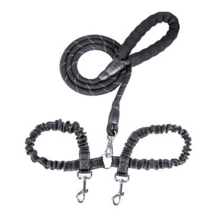 Dogs With One Tow Two Leashes Pets Double Heads